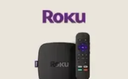 Roku box with its remote